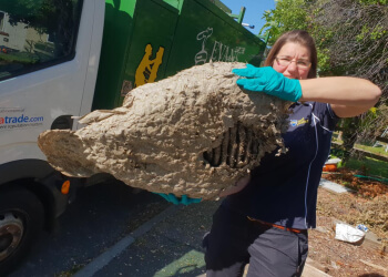 Urban Pest Control Ltd