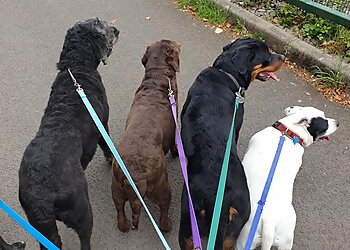 V.I.Pets Castlecroft