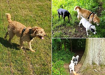 V.I.Pets Castlecroft