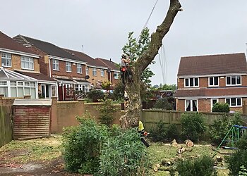 Valeside Tree Care Ltd.