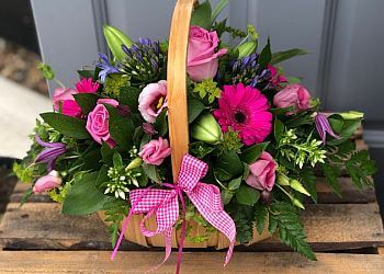 Vanilla Blue Flowers