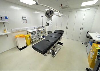 Vasu Karri, BSc (Hons), MBBS, MRCS, MSc, FRCS (Plast) - THE KARRI CLINIC