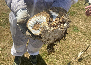 VermiCure Pest Control