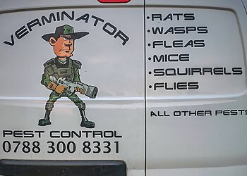 Carmarthenshire pest control Verminator Pest Control image 1