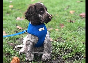 Verulam Pet Services