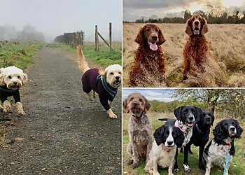 Verulam Pet Services