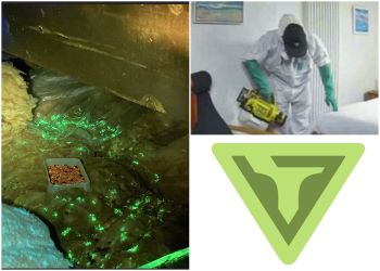 Vespa Pest Control Ltd