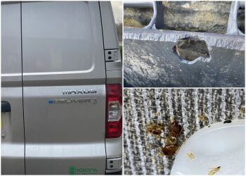 Vespa Pest Control Ltd