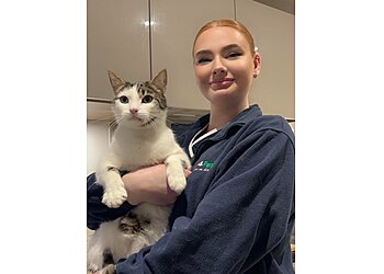 Vets for Pets Loughborough