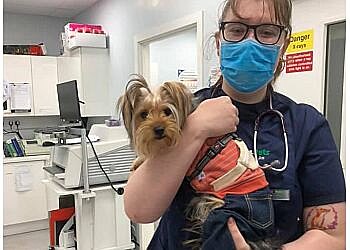 Vets4Pets Gateshead