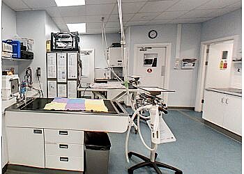 Vets4Pets Northampton