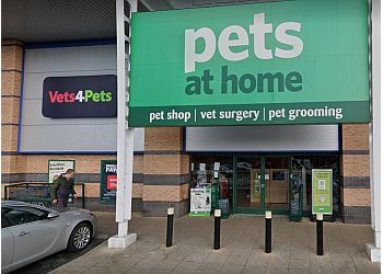 3 Best Vets in Rochdale, UK - Expert Recommendations