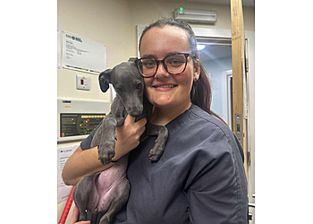 Sheffield Birley Moor Vets4Pets