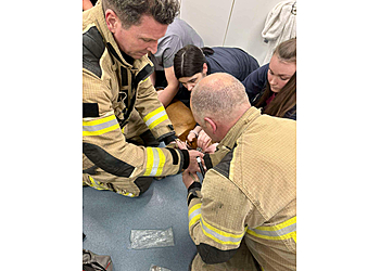 Sheffield Birley Moor Vets4Pets