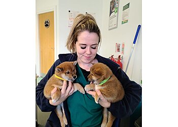 Vets4Pets Warrington