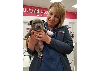 Vets4Pets Canterbury