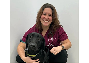 Vets4Pets Coventry Walsgrave