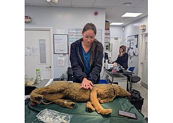 Vets4Pets Coventry Walsgrave