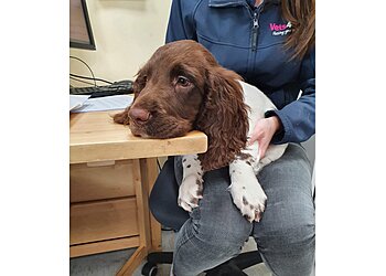 Vets4Pets Fort Kinnaird