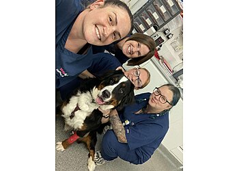 Vets for Pets Halifax