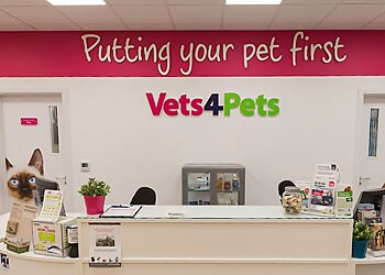 South Lanarkshire vets Vets4Pets Hamilton image 1