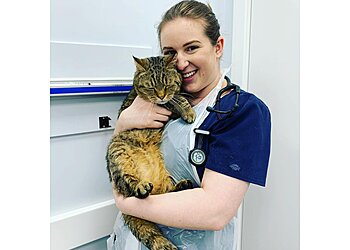 Vets4Pets Hull Stoneferry