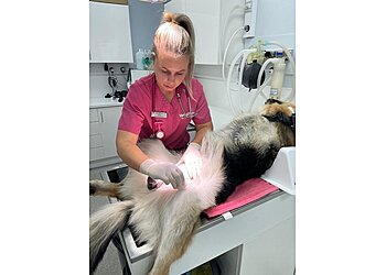 Vets4Pets Hull Stoneferry