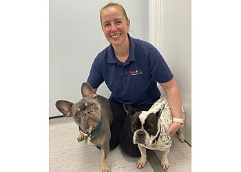 Vets4Pets Huntingdon