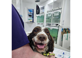 Leeds Birstall Hospital Vets for Pets