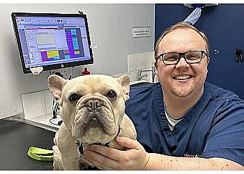 Vets for Pets Liverpool Old Swan