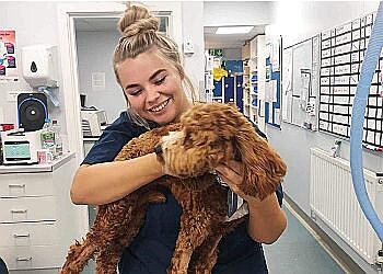 Vets for Pets Liverpool Old Swan