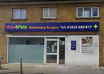 Maidstone vets Vets4Pets Maidstone image 1