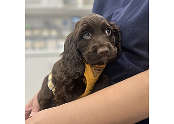 Milton Keynes Vets4Pets