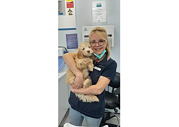 Oxford Cowley Vets4Pets