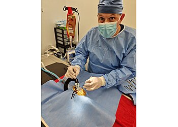 Vets for Pets Rotherham