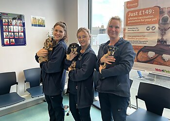 Vets for Pets Southend-On-Sea