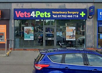 Southend On Sea vets  Vets4Pets Southend-On-Sea image 1