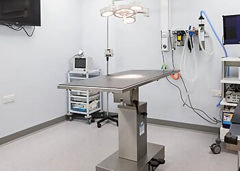 Vets4Pets Walsall Reedswood