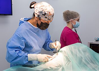 Vets4Pets West Bromwich