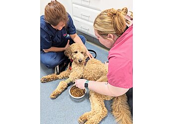 Vets4Pets Weston-super-Mare