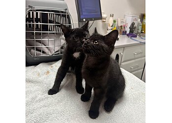 Vets4Pets Weston-super-Mare