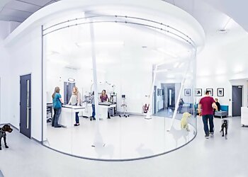 Vet's Klinic Swindon