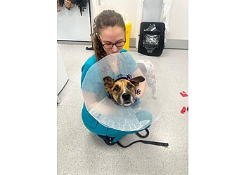 Vets for Pets Basildon Pitsea 24/7 Hospital