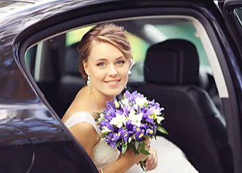 Viceroy Chauffeurs Services