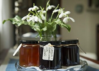 Vicky Dubois Photography