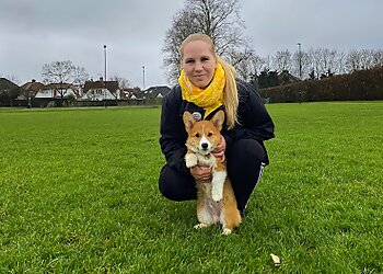 Victoria Dog Obedience Training