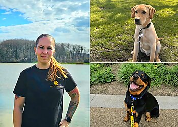 Victoria Dog Obedience Training