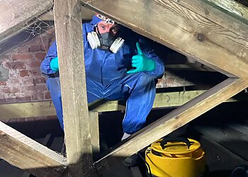 Viking Pest Control Ltd