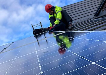 Viking Pest Control Ltd