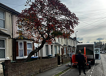 Village Tree Surgeons